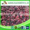 2016 Crop Chinese Export Frozen Berry Fruits