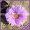 Ht046 Silk Daisy Flower Head