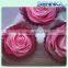 Natural preserved fresh rose wholesal flower Multi colored Preserved Roses