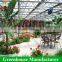 High Quality Aquaponic Commercial Multi-span Greenhouse