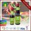 FDA Chinese Stir Fry Sauce 510G for Noodles