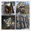 Wholesale price abalone feed, laminaria,strip,kelp cut