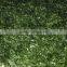 Feed grade pure ulva lactuca pig feed additive,algae providers fodder