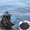 high soluble kelp seaweed extract powder fertilizer