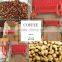 Easy Using Manual Coffee Bean Depulper Machine For Kenya