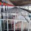 Pig farm golden supply hot sale auto pig feed system