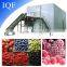 IQF System Quick Freezer For Fruits Blueberry Processing Machine