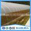 Tunnel Greenhouse Construction For Planting