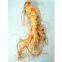 Ginseng Root Extract Ginsenosides ( rossonl@huacheng-biotech.com )