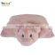 Aipinqi CPPP01 cute stuffed pig plush pillow