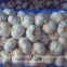 2017 New Crop 5cm Normal White Fresh Garlic 10kg Mesh Bag packing
