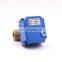 Manual Switch CWX-25S 1/2" 3/4" Brass Mini Motor Electric Water Flow Control Ball Valve 12v