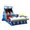 Dual Lanes Inflatable Wild Waves Water slides For Sale