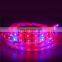 5M/roll grow led light strips Red and Blue 3:1 waterproof IP IP65 led plant grow light strip