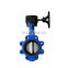 ductile cast iron ggg50 dn100 lug butterfly valve with worm gear box operator