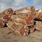 Doussie squared logs in bulk sale