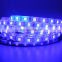 Wholesale Outdoor 5M 270L 2835 SMD RGB Waterproof Led Strip Lights with 24 Keys and Controller