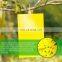 Dual Yellow Sticky Flying Plant Insect Fruit Fly Glue Traps Pheromone Strong Glue+paper+fly Bait 2 Year All-season MSDS Report