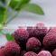 Sinocharm BRC A Approved IQF Red Whole Round Yangmei Bayberry Frozen Waxberry