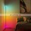 Nordic Modern Minimalist LED Line Lights Symphony RGB Wall Corner Floor Lamp