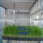 good quality grass growing machine/wheat growing machine/ seed seedling machine