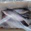 Whole frozen pangasius for export