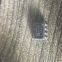 AD680JRZ Analog Devices Voltage References IC, MONO 2.5V REFERENCE IC