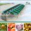 Avocado fruit sorting machine