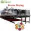 CHINA Market vegetable processing machine apple orange onion  production  line
