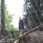 Custom Bird Aviary Enclosure 316 Stainless Steel Wire Rope Mesh Woven Zoo Mesh