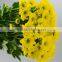 Top quality Cheapest yellow mountain chrysanthemum flower