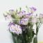Quality stylish eustoma flower wedding flower
