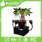 4pcs 6in1RGBWA+UV help plants produce lamps