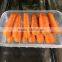 fruit and vegetable packing mushroom plastic tray
