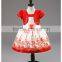 fashion children embroidery tutu dresses for kids 100-140cm 5 size kids tutu dress