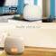 Mini Home Spa Humidifier - Diffuser Aromatherapy Home Air Aroma Purifier