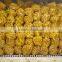 Mesh Bag Ginger Price Ginger Exporter 20+3kg For Pakistan Bangladesh Market