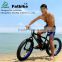 fat bike,electric bicycle brush motor