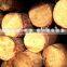 Pined and Birch logs in Russia /Bed slats