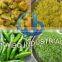 Vegetable chopper/cutter, vegetable and fruit salad maker