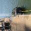 Rubber floating pneumatic boat fender