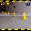 Roadway safety Plastic Lane Divider for Sale