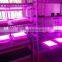 14w led light grow led grow lights for house plants