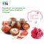 TTN 2016 Halal Snacks Freeze Dried Strawberry  China Supplier