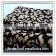 Manufacturer Chna Junma design Flock on Fock Sofa Upholstery Fabric