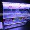 SSW-CA-101 Acrylic Mobile Phone Accessories Storage Display with LED lights