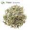 Organic Yin Zhen Silver Needle White Tea