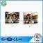 Paintings art on canvas