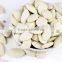 Snow White Pumpkin Seeds , Pumpkin Seeds in Shell