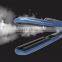 Professional Steam hair flat iron hair straightener